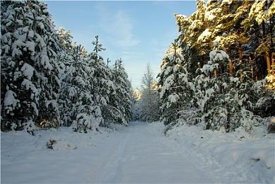 有传言称索尼《毁灭全明星》或改用免费模式