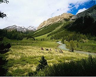 《吸血鬼：避世血族2》公布第二家族特雷默